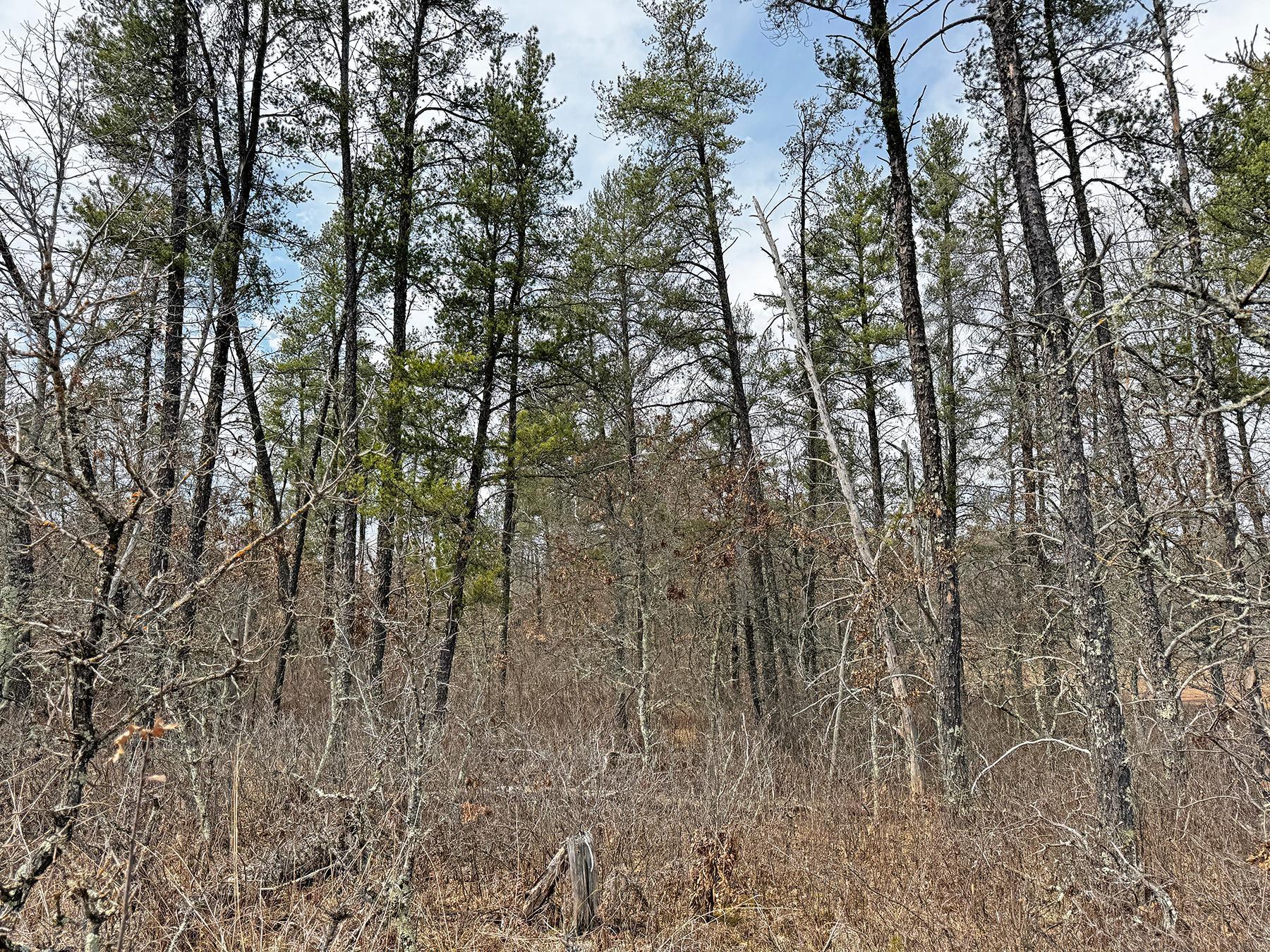 XXX Lot 20 Middle Road, Minong, Wisconsin image 15