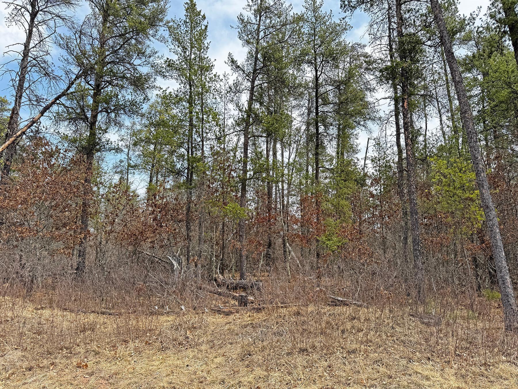 XXX Lot 20 Middle Road, Minong, Wisconsin image 1