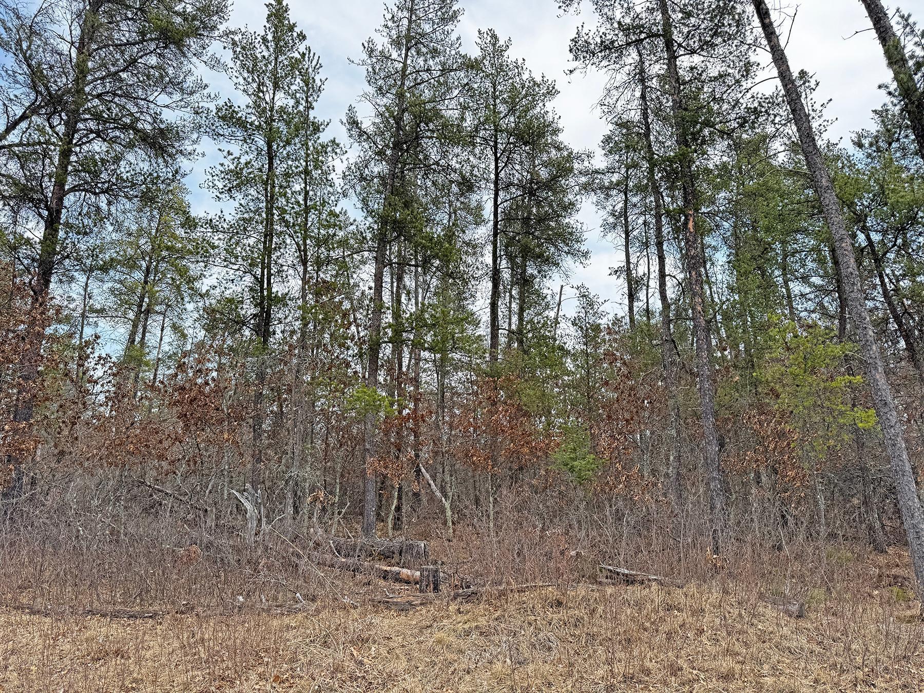 XXX Lot 20 Middle Road, Minong, Wisconsin image 11