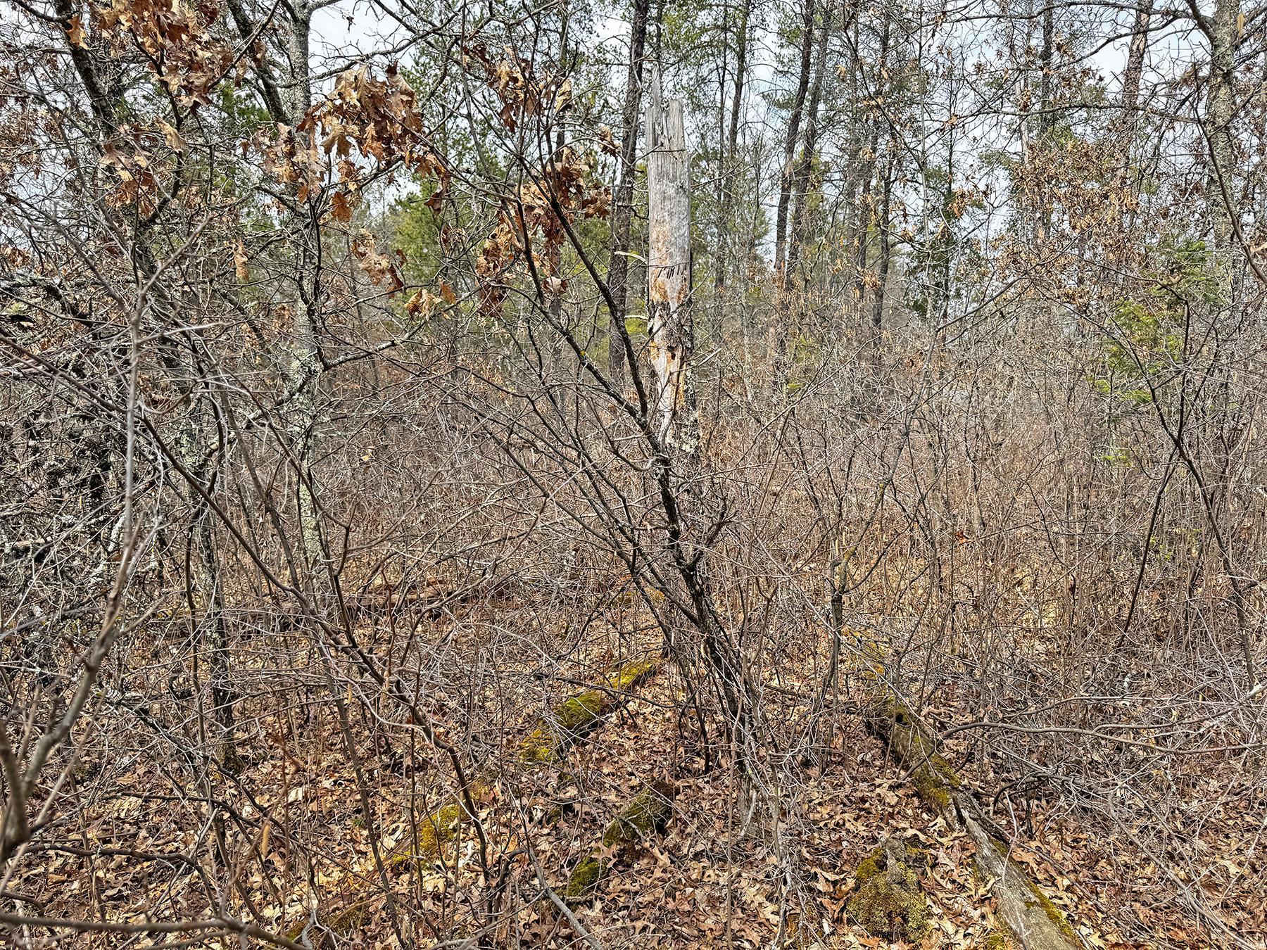 XXX Lot 20 Middle Road, Minong, Wisconsin image 20