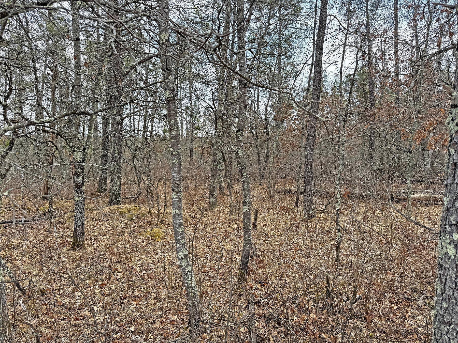 XXX Lot 20 Middle Road, Minong, Wisconsin image 13