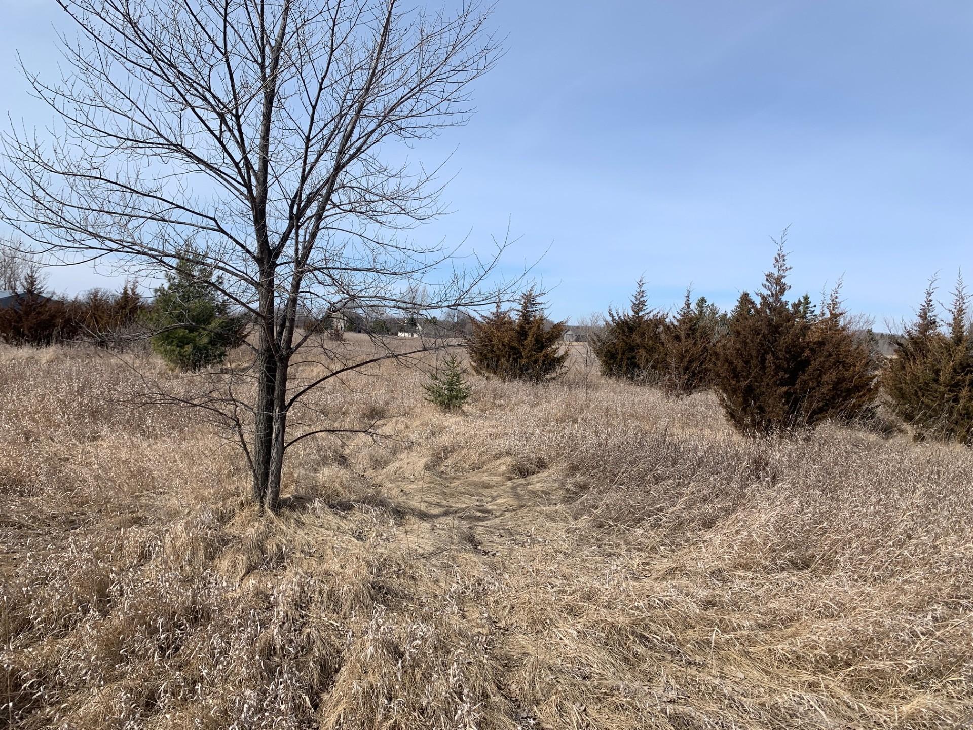 18146 Fieldcrest Road, Cold Spring, Minnesota image 48