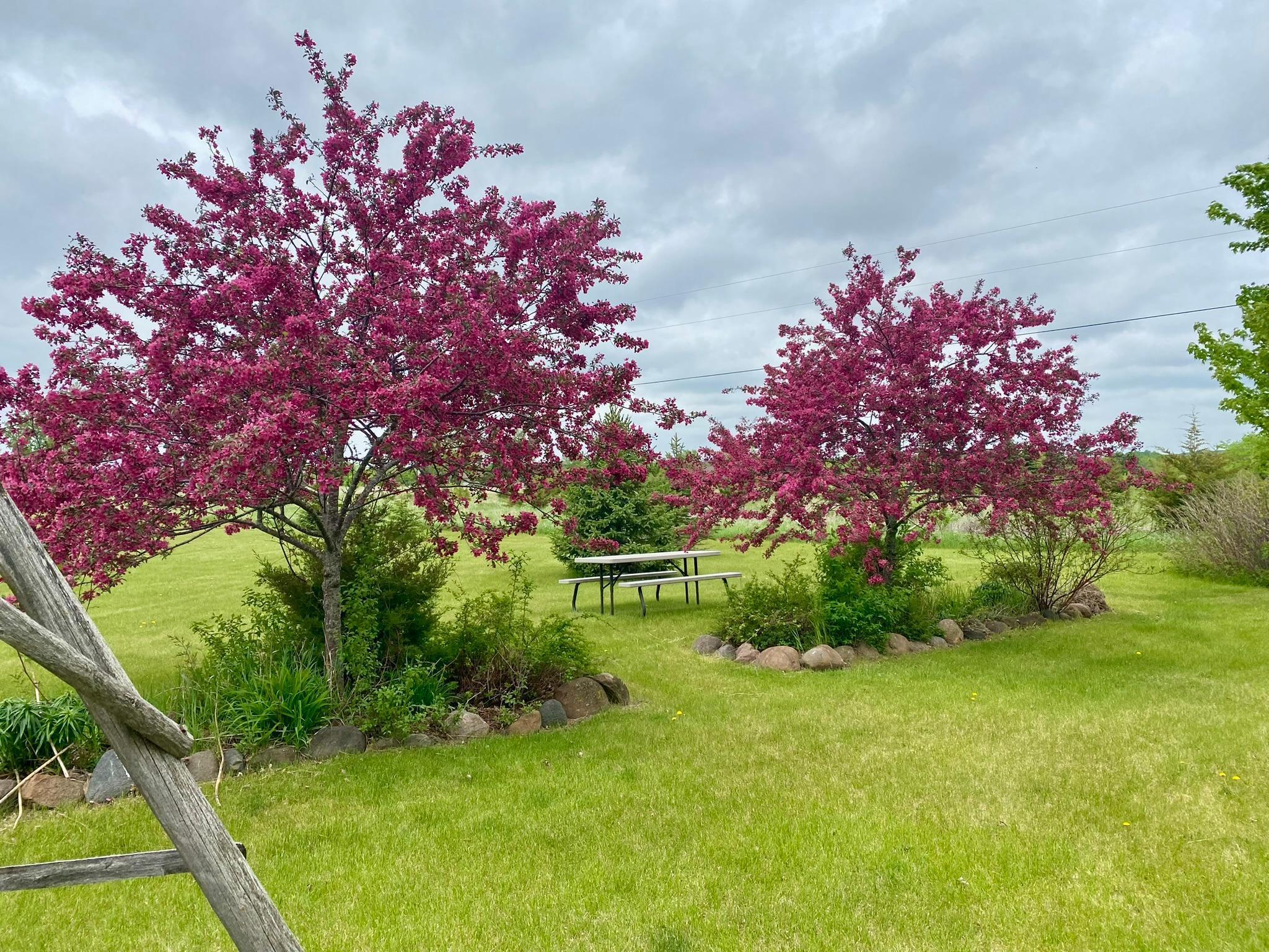 18146 Fieldcrest Road, Cold Spring, Minnesota image 41