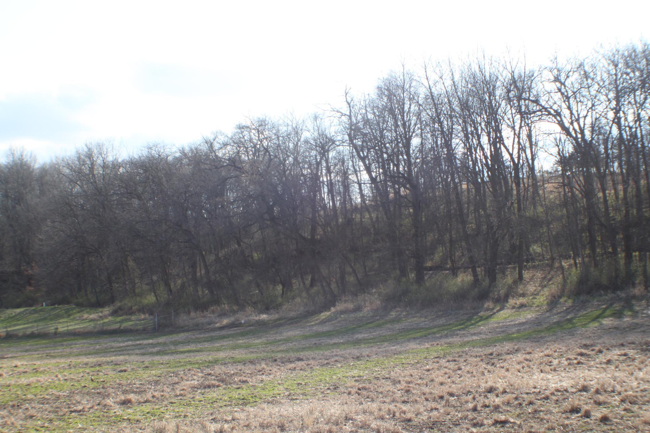 XxxxC Kings Park Road, Oronoco, Minnesota image 6