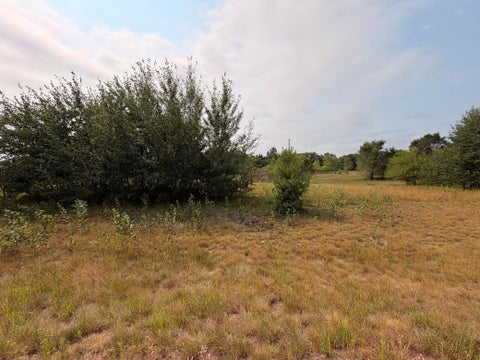 Vacant Land For Sale - 1961 Nelson Lake Road<br/> Pillager, MN 56473