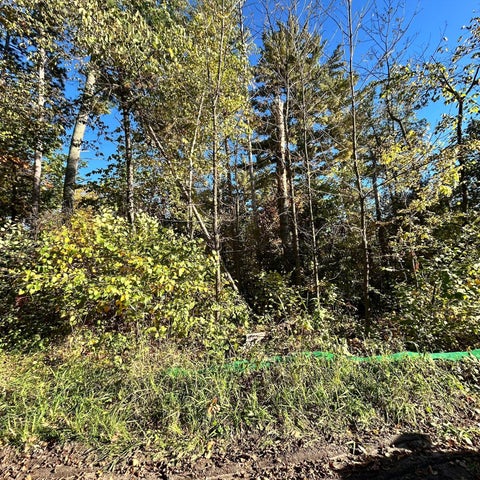 Vacant Land For Sale - TBD Edna Lake Road<br/> Crow Wing County, Nisswa, MN 56468