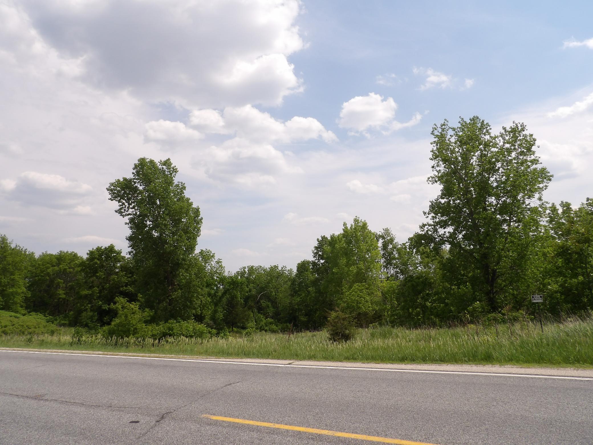 TBD County Road 8, Chatfield, Minnesota image 10