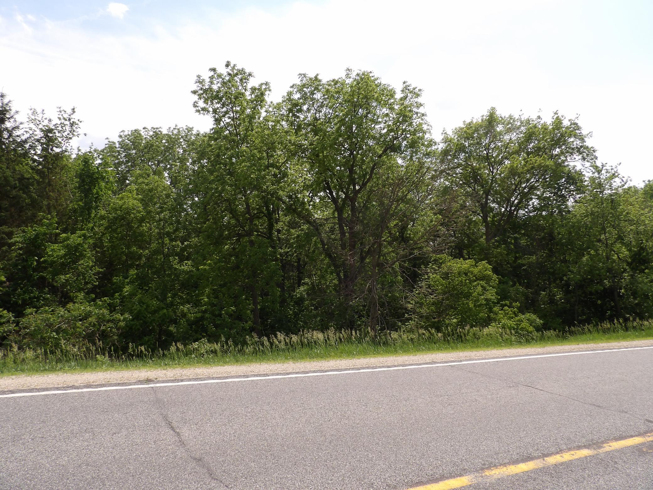 TBD County Road 8, Chatfield, Minnesota image 3