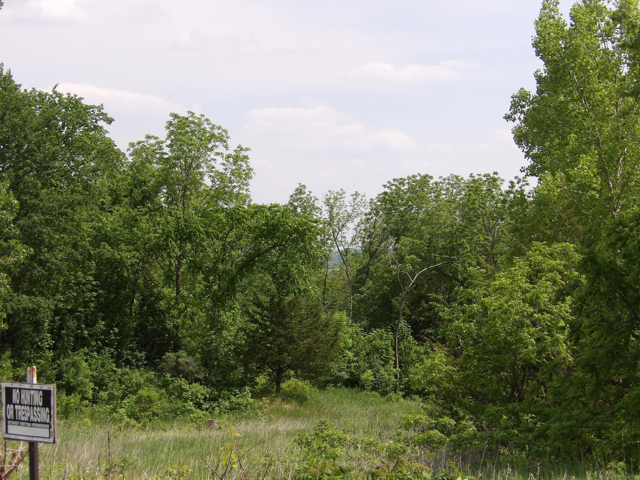 TBD County Road 8, Chatfield, Minnesota image 7