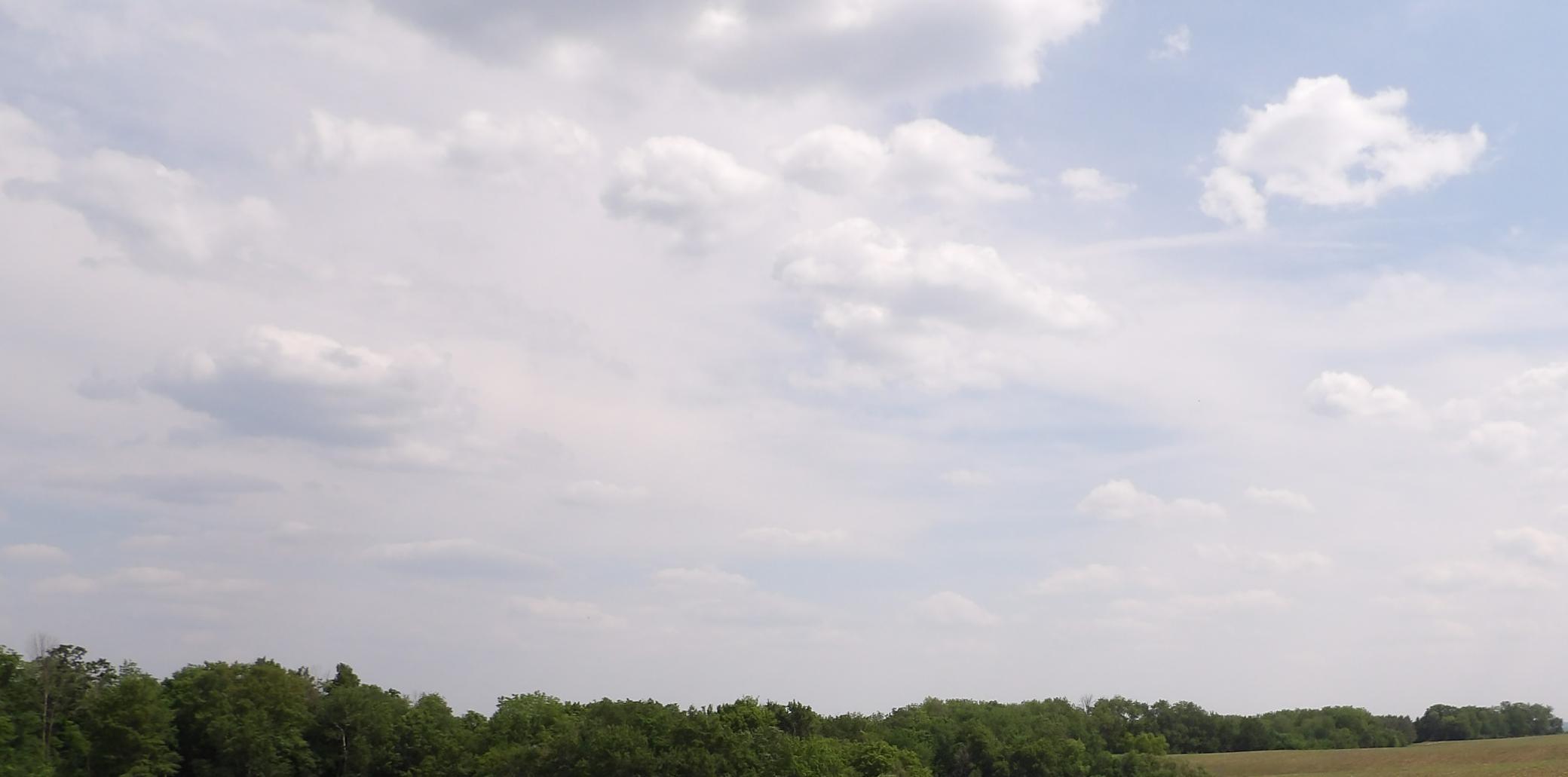 TBD County Road 8, Chatfield, Minnesota image 11