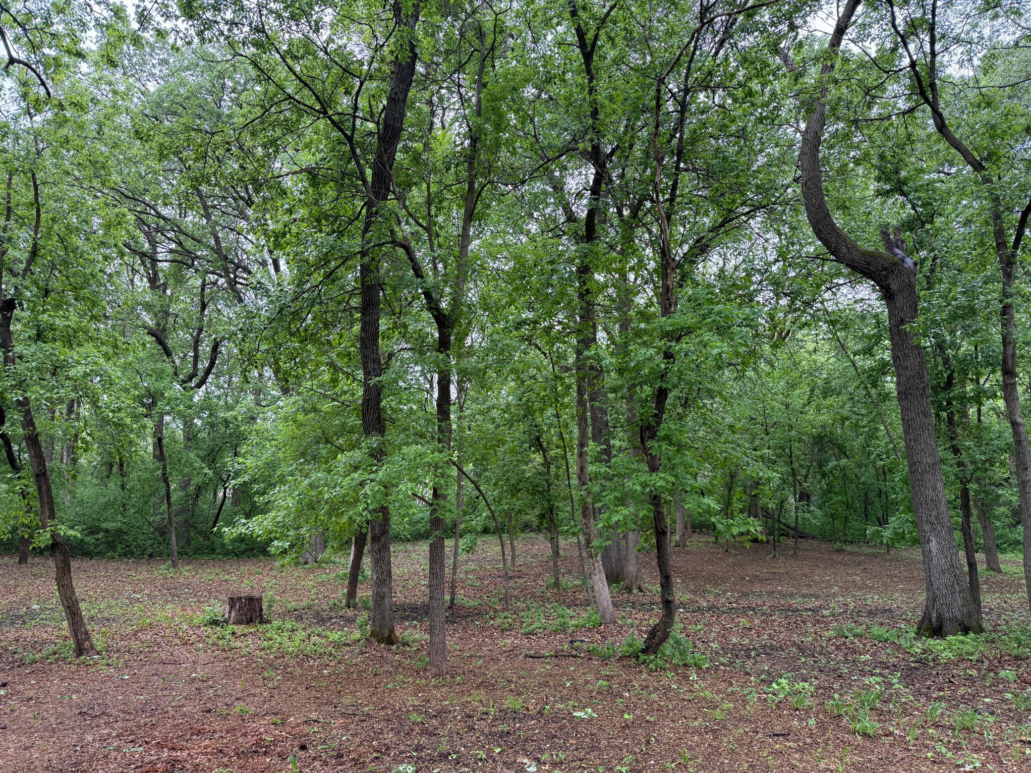 17367 Highland Drive, Paynesville, Minnesota image 8