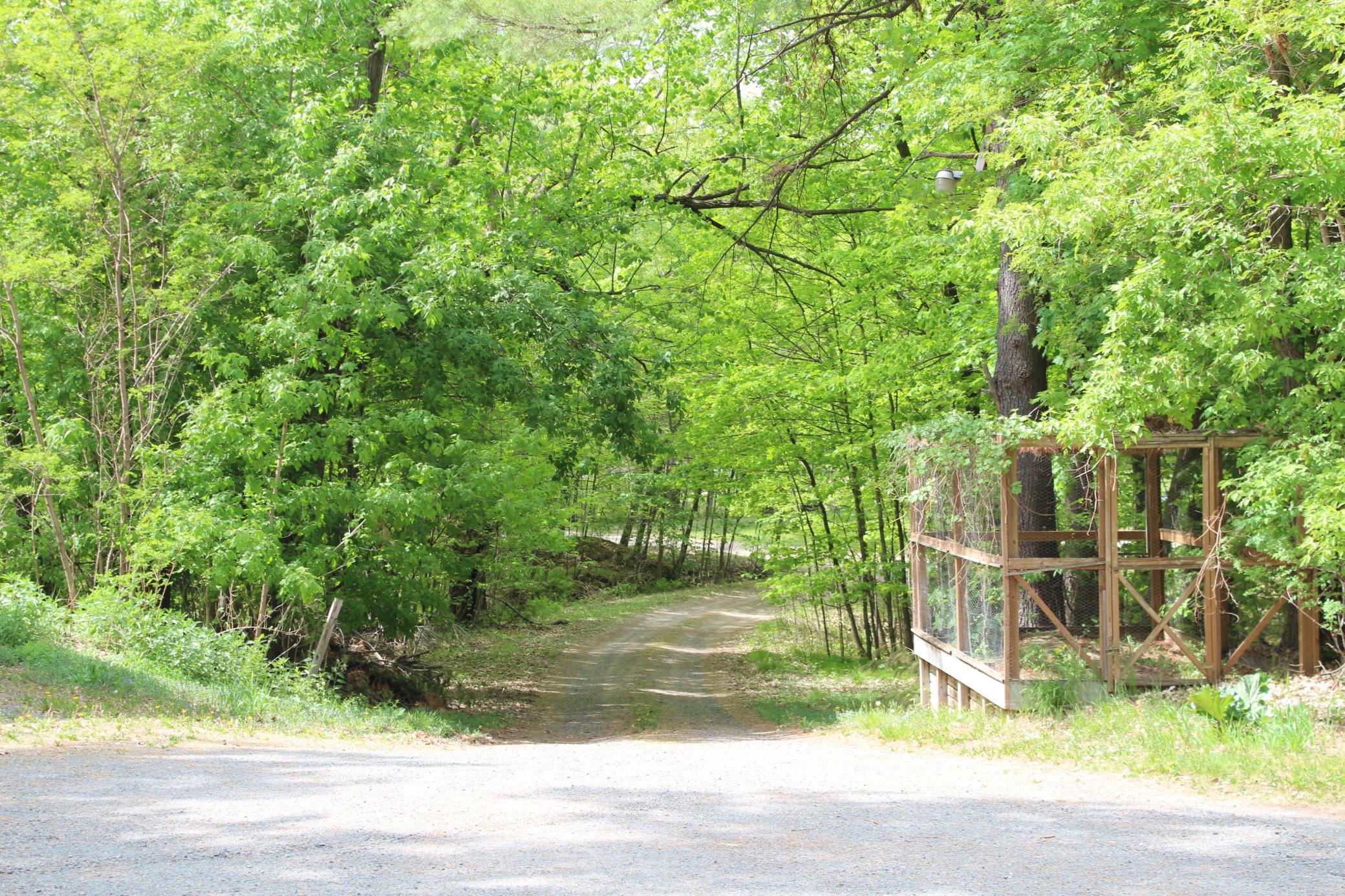 12581 Big Trade Road, Grantsburg, Wisconsin image 34