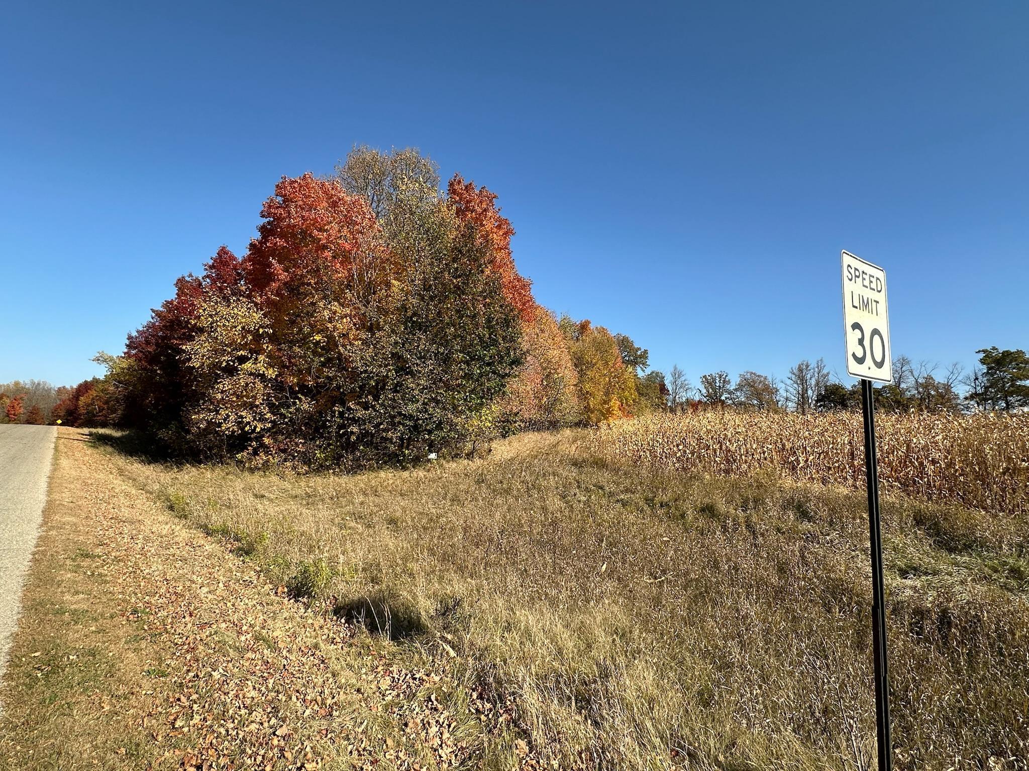 Tract C Pearl Lake Drive, Detroit Lakes, Minnesota image 35