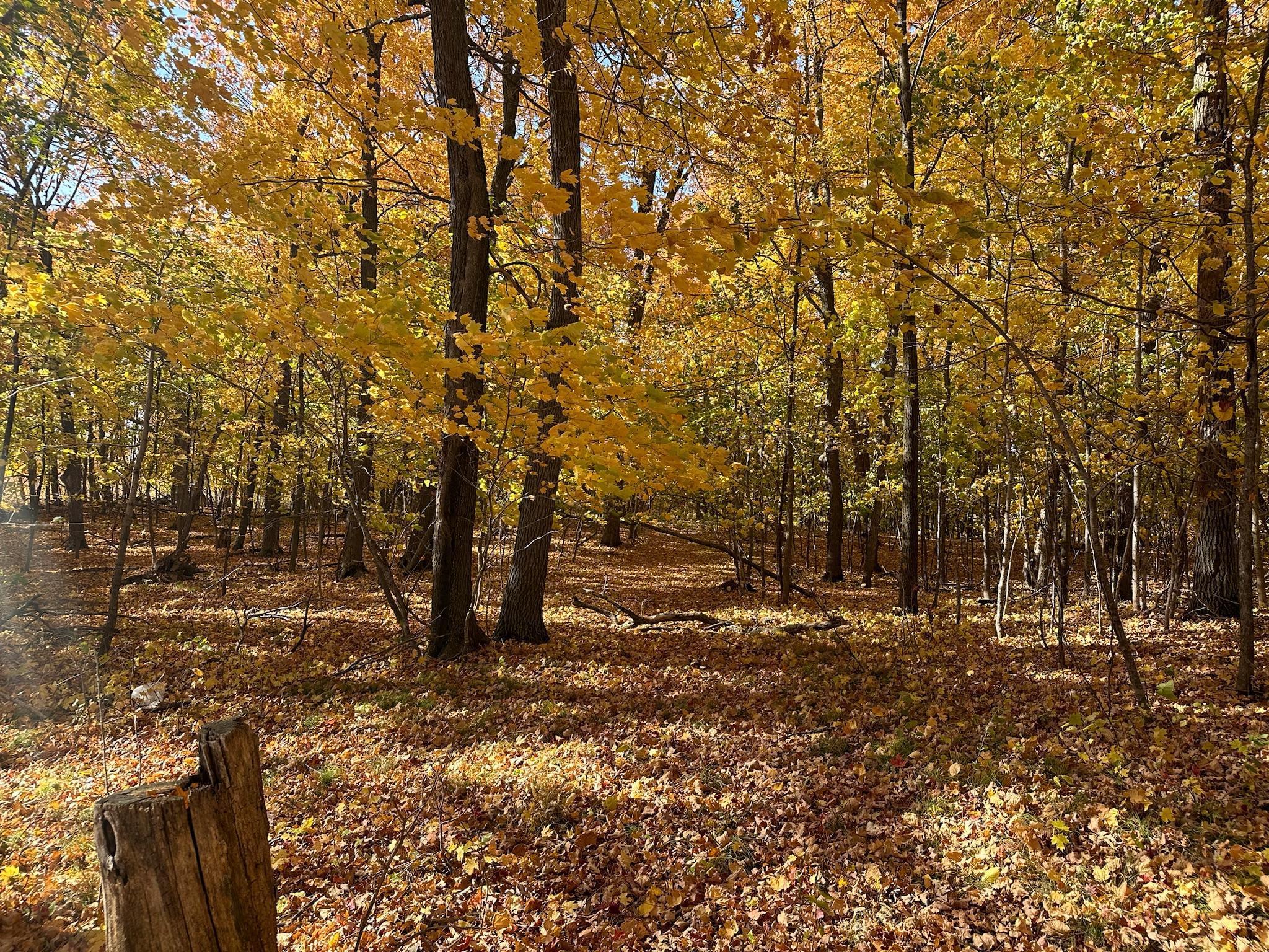 Tract C Pearl Lake Drive, Detroit Lakes, Minnesota image 30