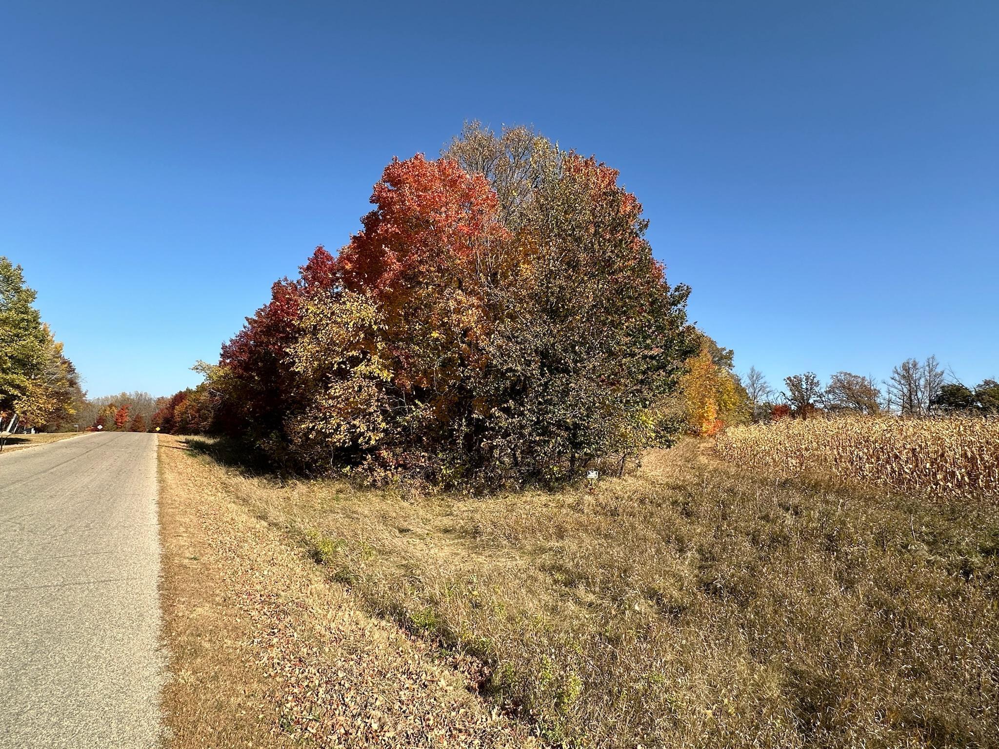 Tract C Pearl Lake Drive, Detroit Lakes, Minnesota image 36