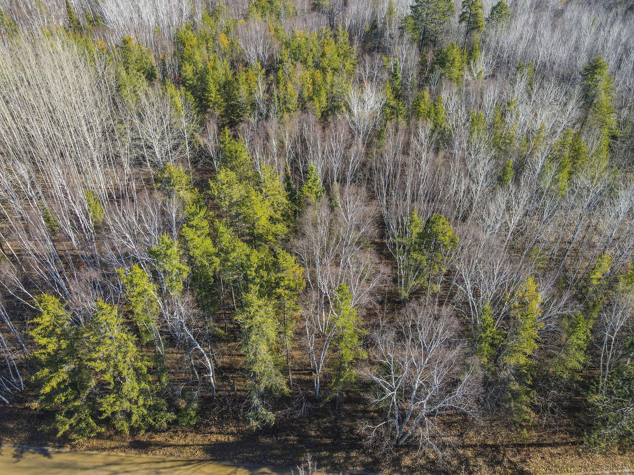 TBD Musky Drive, Laporte, Minnesota image 9