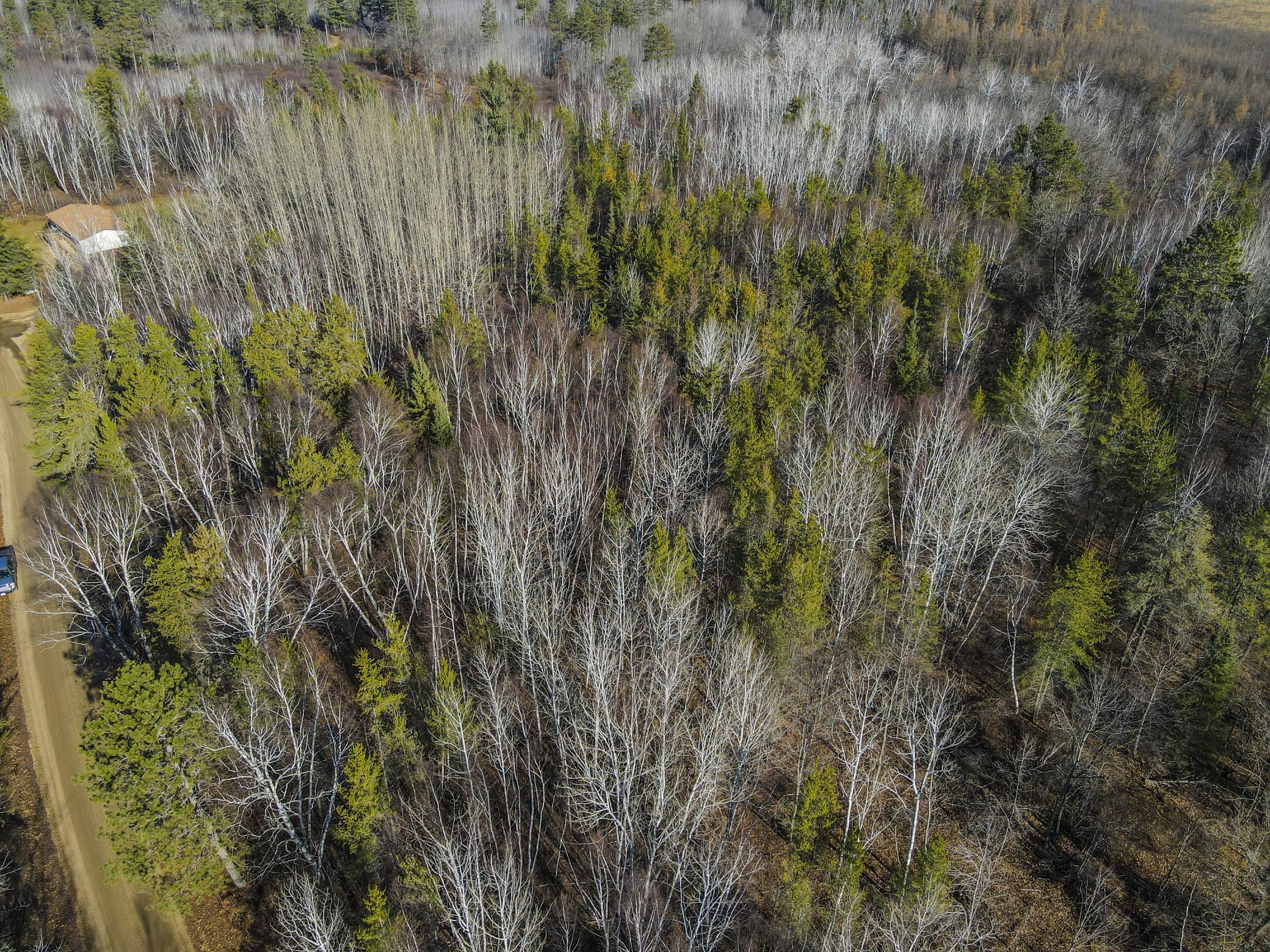 TBD Musky Drive, Laporte, Minnesota image 3