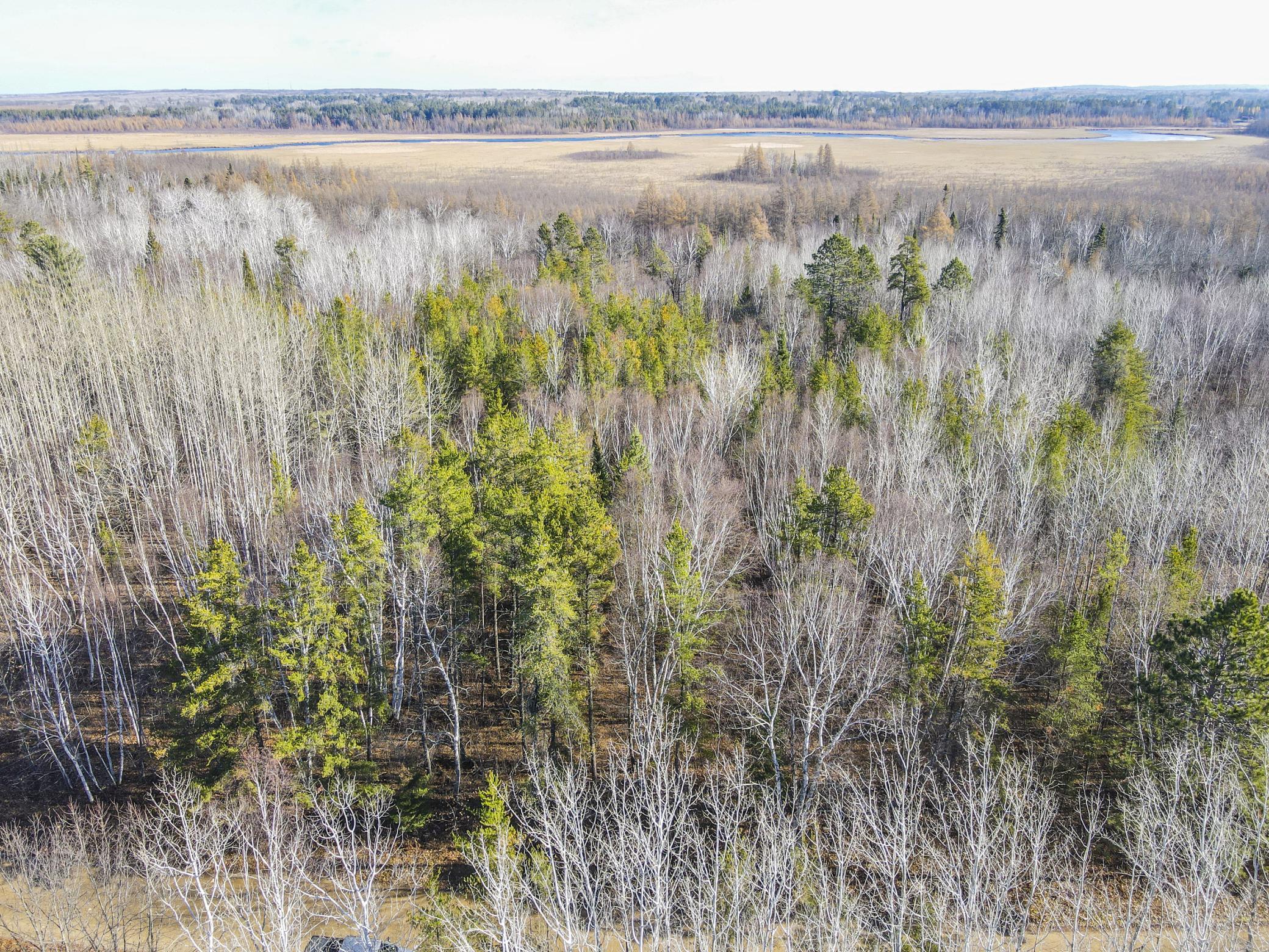 TBD Musky Drive, Laporte, Minnesota image 6