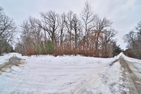 Vacant Land For Sale - TBD W Shamineau Drive<br/> Motley, MN 56466