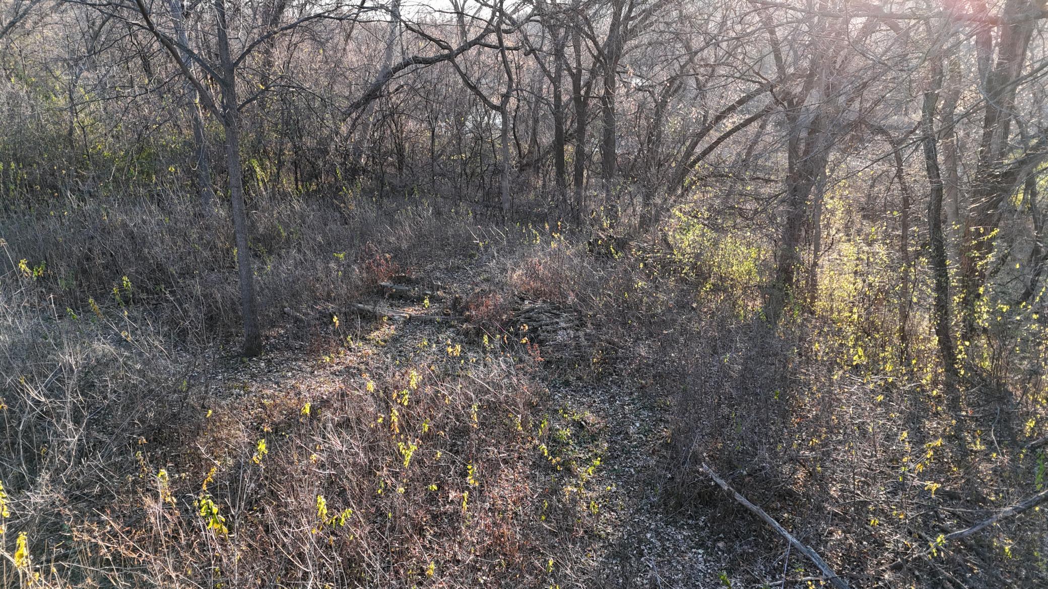 2421 East River Road, Rochester, Minnesota image 16