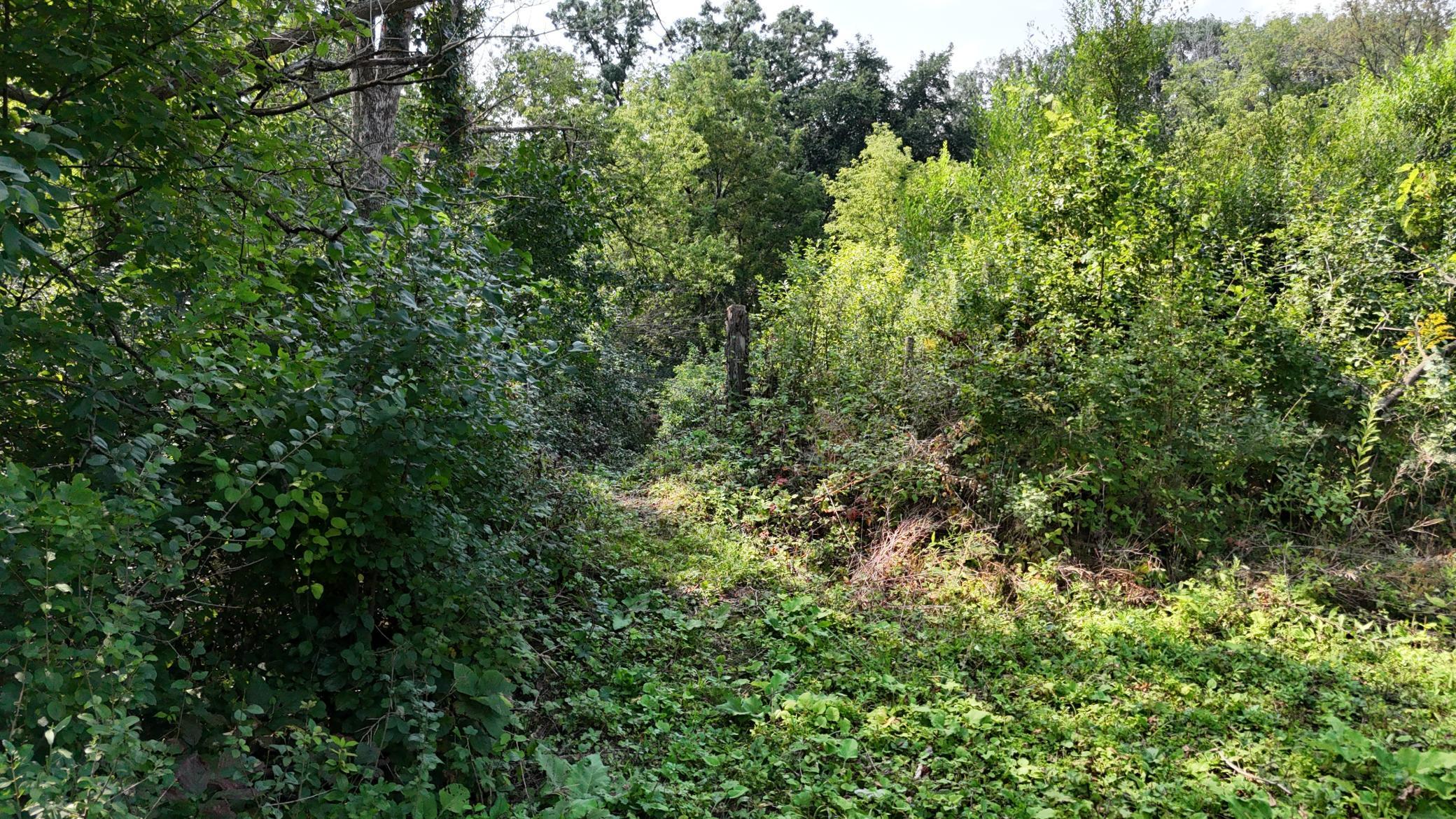 2421 East River Road, Rochester, Minnesota image 8