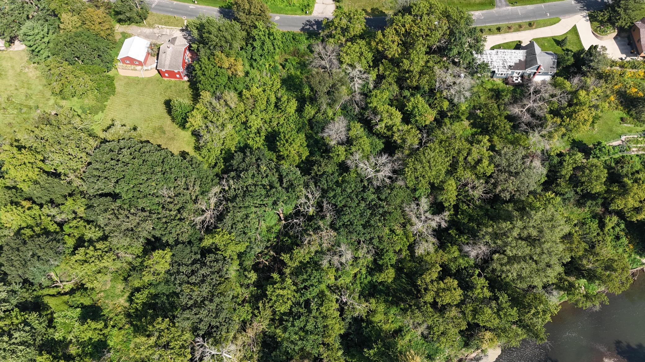 2421 East River Road, Rochester, Minnesota image 4
