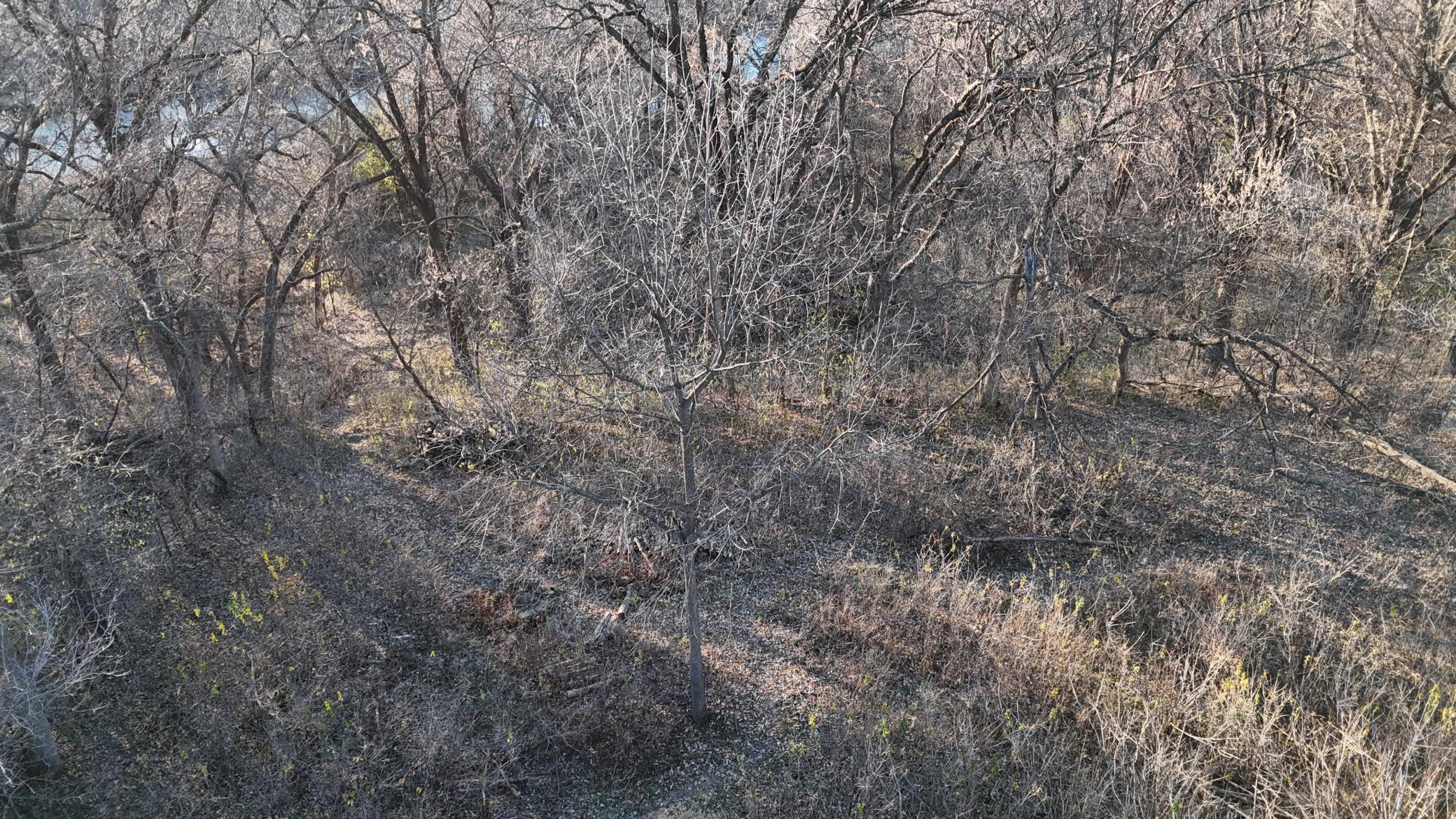 2421 East River Road, Rochester, Minnesota image 13