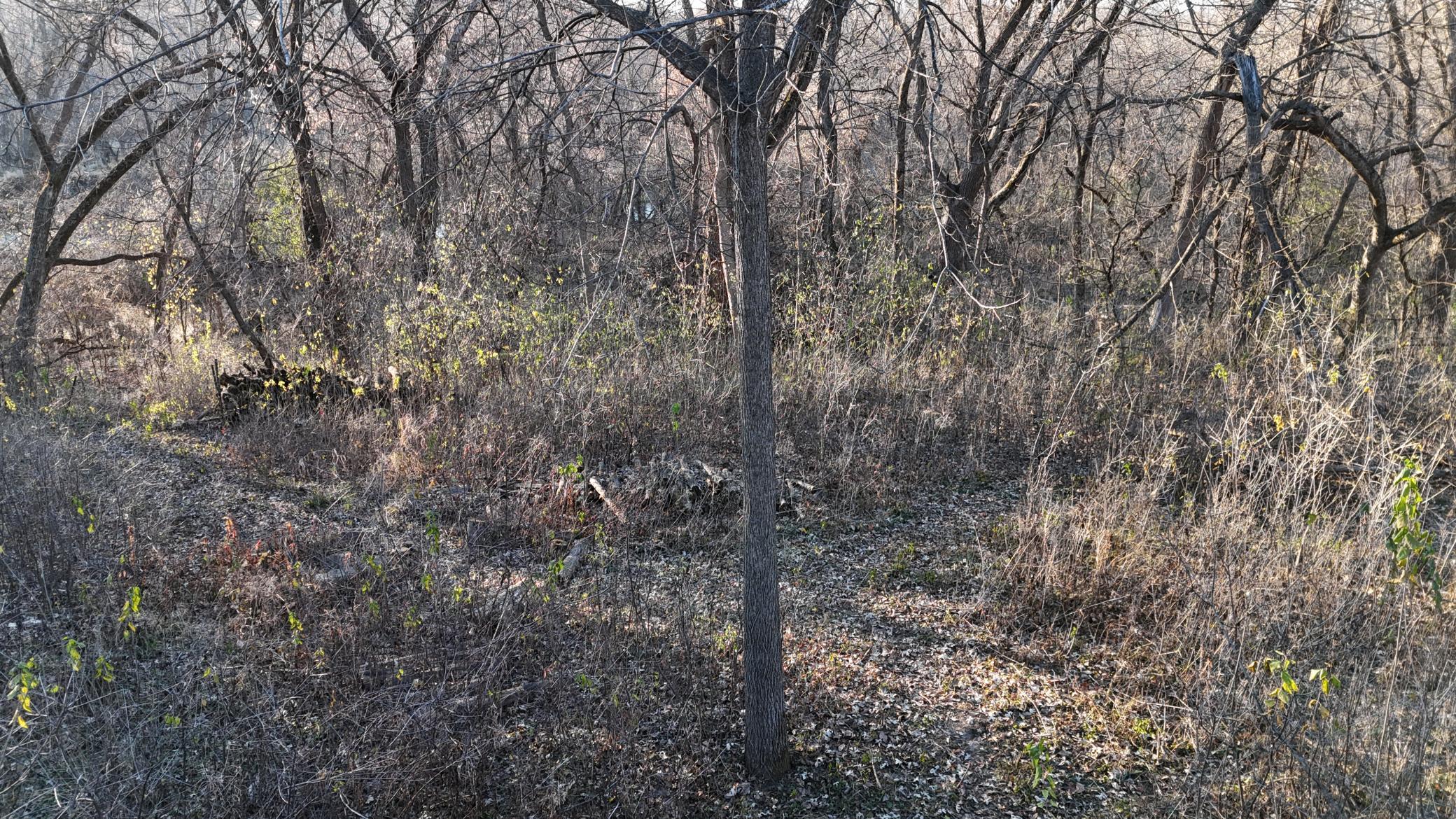 2421 East River Road, Rochester, Minnesota image 19