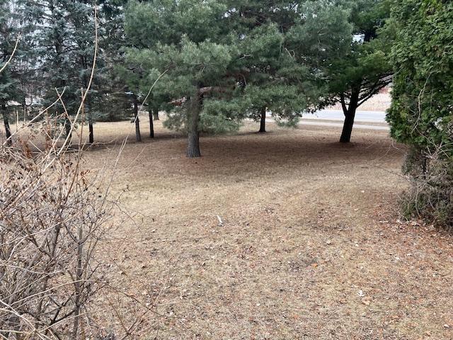 1200 S Sibley Avenue, Litchfield, Minnesota image 8