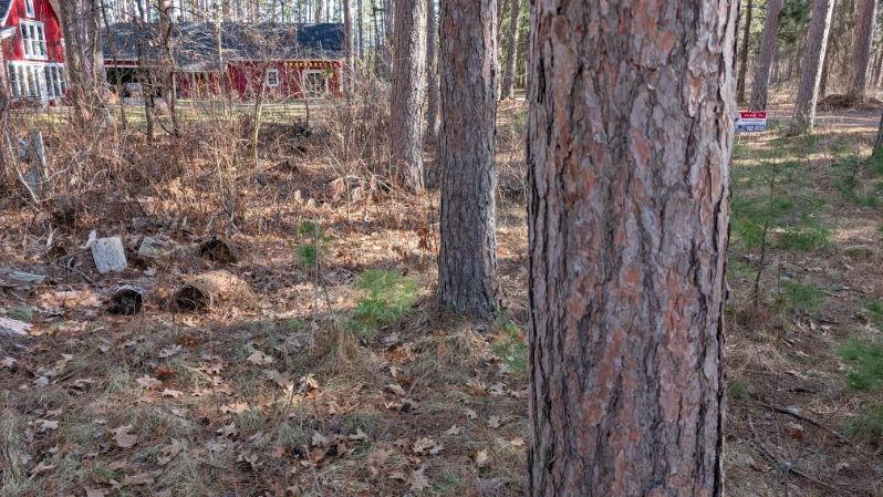 3823 County Road 17, Pequot Lakes, Minnesota image 5