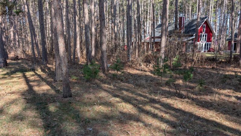 3823 County Road 17, Pequot Lakes, Minnesota image 6