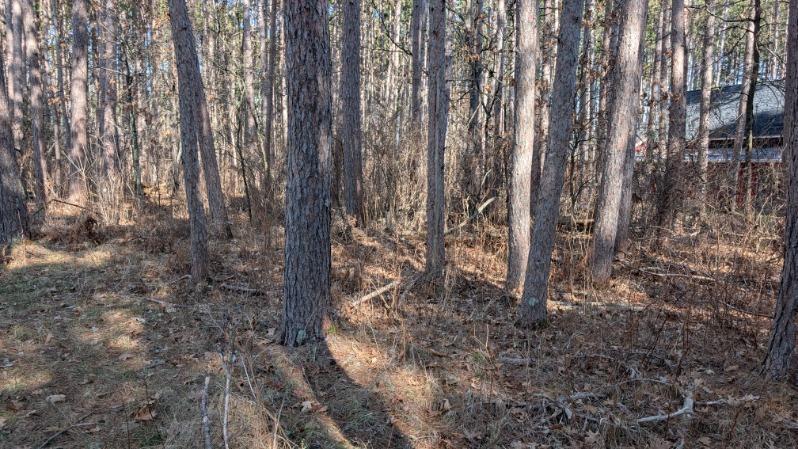 3823 County Road 17, Pequot Lakes, Minnesota image 4