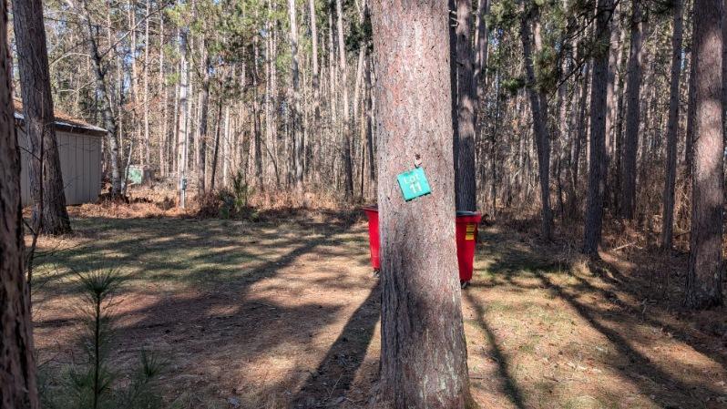 3823 County Road 17, Pequot Lakes, Minnesota image 3