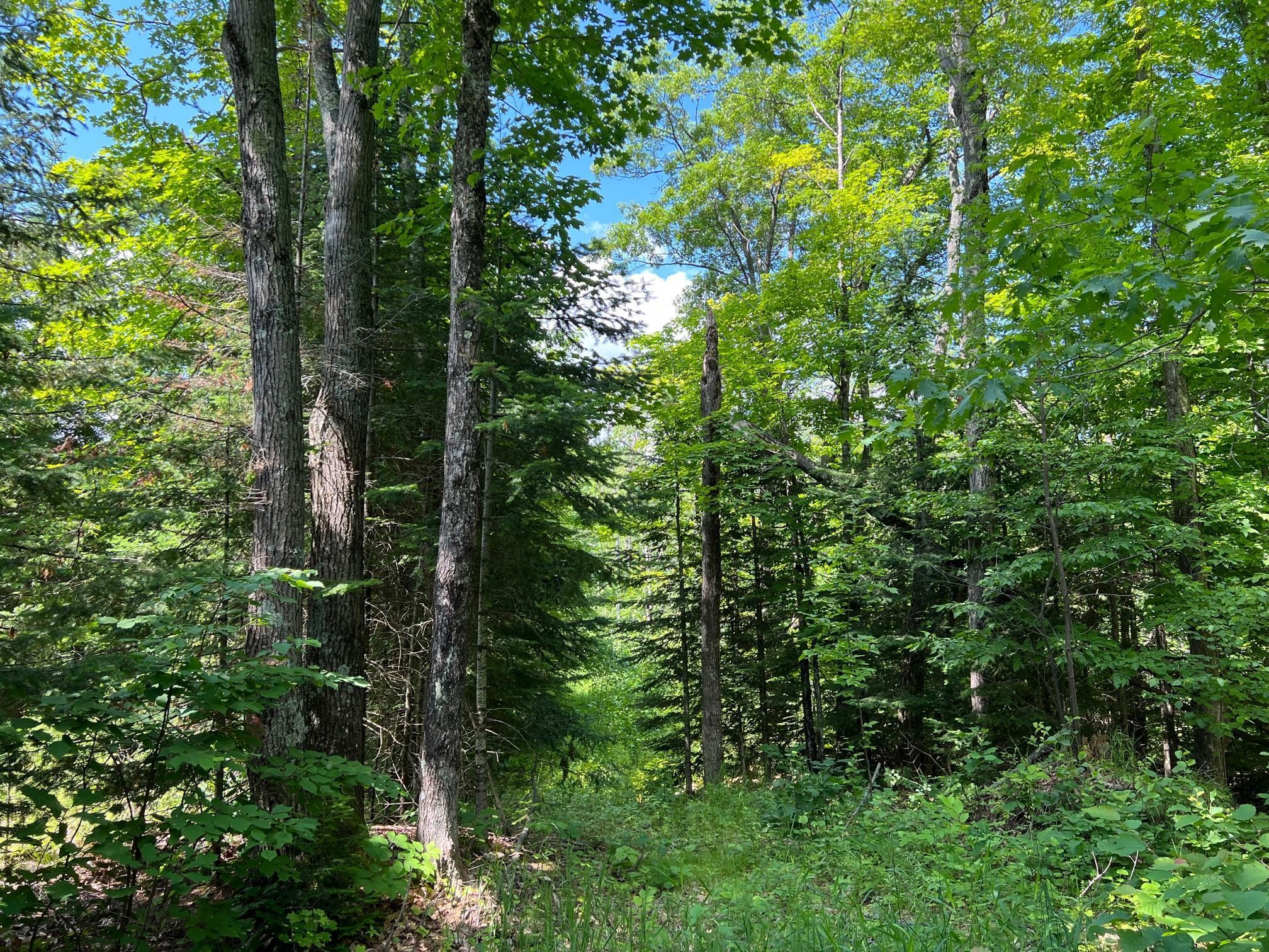TBD Highway 2, Maple, Wisconsin image 11