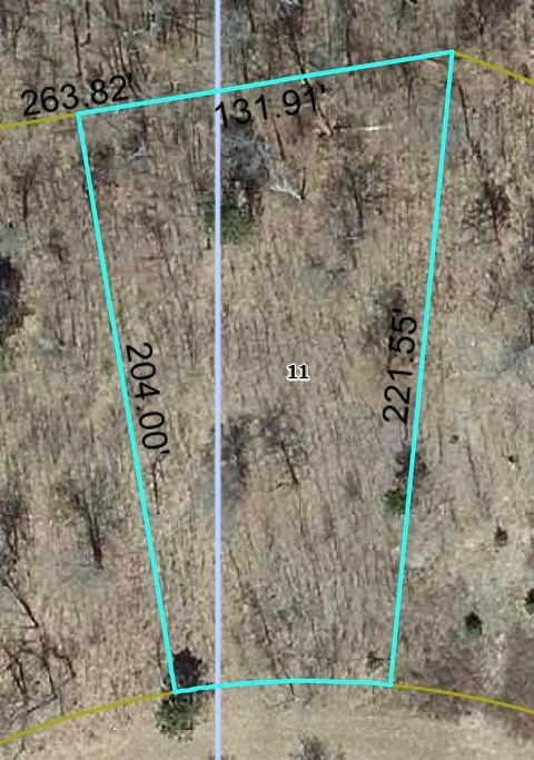 Vacant Land For Sale - LOT 62 Honey Tree Terrace<br/> Danbury, WI 54830
