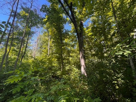 Vacant Land For Sale - LOT 1 County Road Bb<br/> Saint Croix County, Woodville, WI 54028