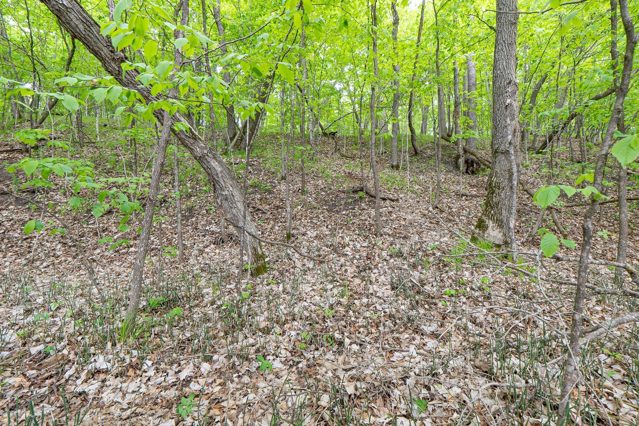 (LOT E) TBD NE Rock Lake Road, Rochert, Minnesota image 22