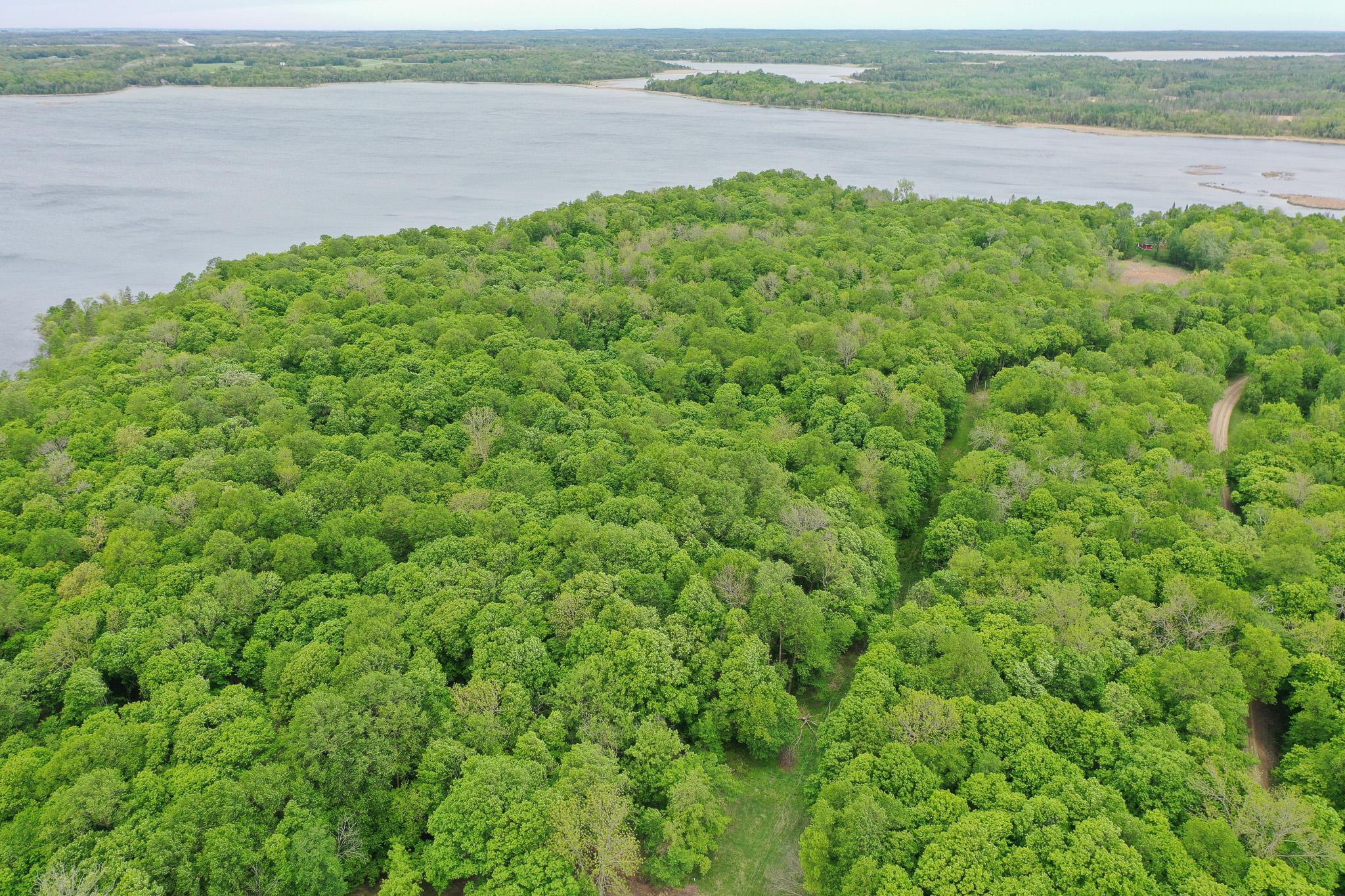(LOT E) TBD NE Rock Lake Road, Rochert, Minnesota image 6