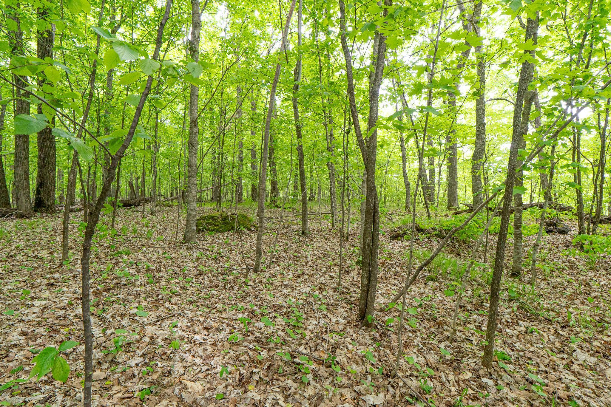 (LOT E) TBD NE Rock Lake Road, Rochert, Minnesota image 24