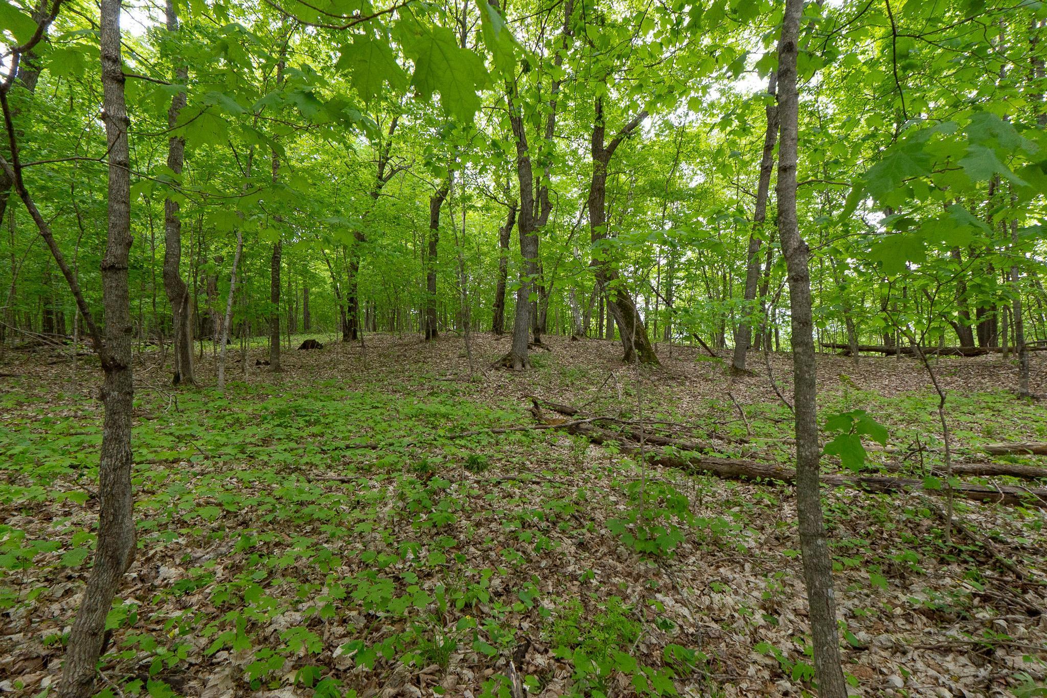 (LOT E) TBD NE Rock Lake Road, Rochert, Minnesota image 11