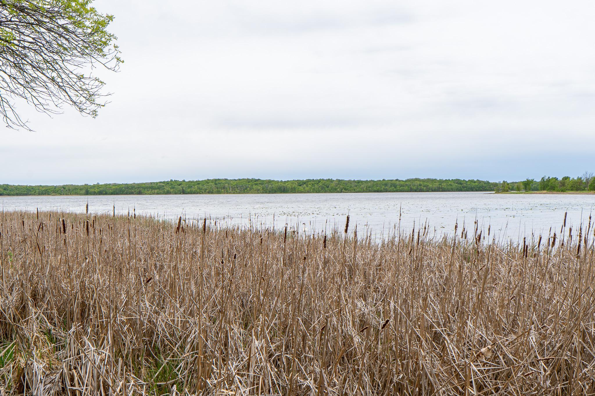 (LOT E) TBD NE Rock Lake Road, Rochert, Minnesota image 20