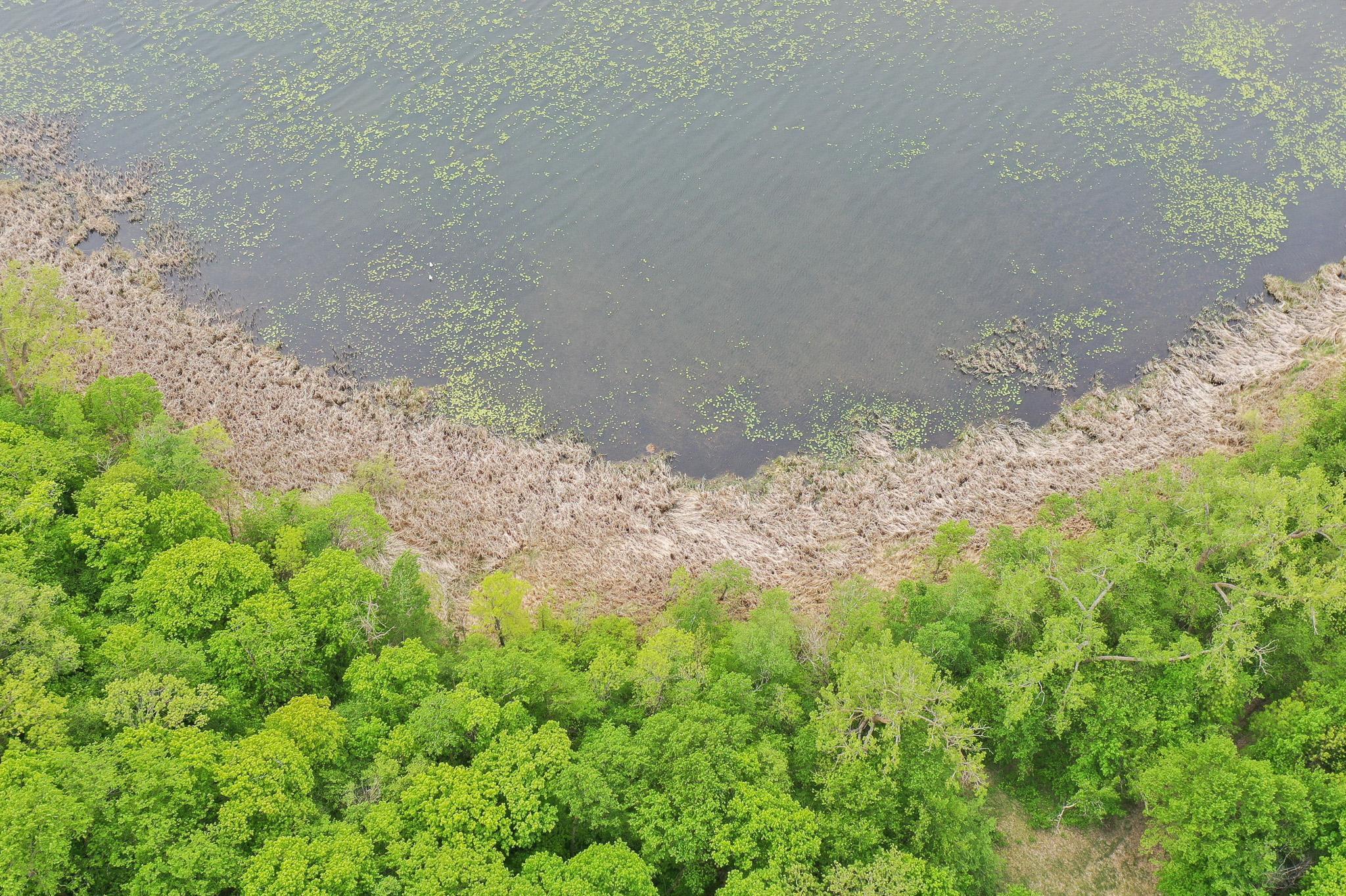(LOT E) TBD NE Rock Lake Road, Rochert, Minnesota image 4