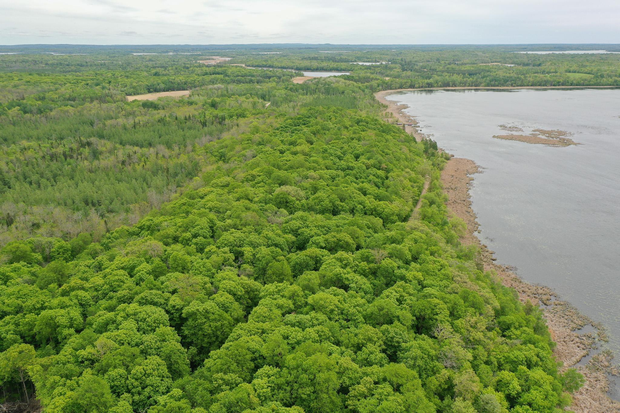 (LOT E) TBD NE Rock Lake Road, Rochert, Minnesota image 5