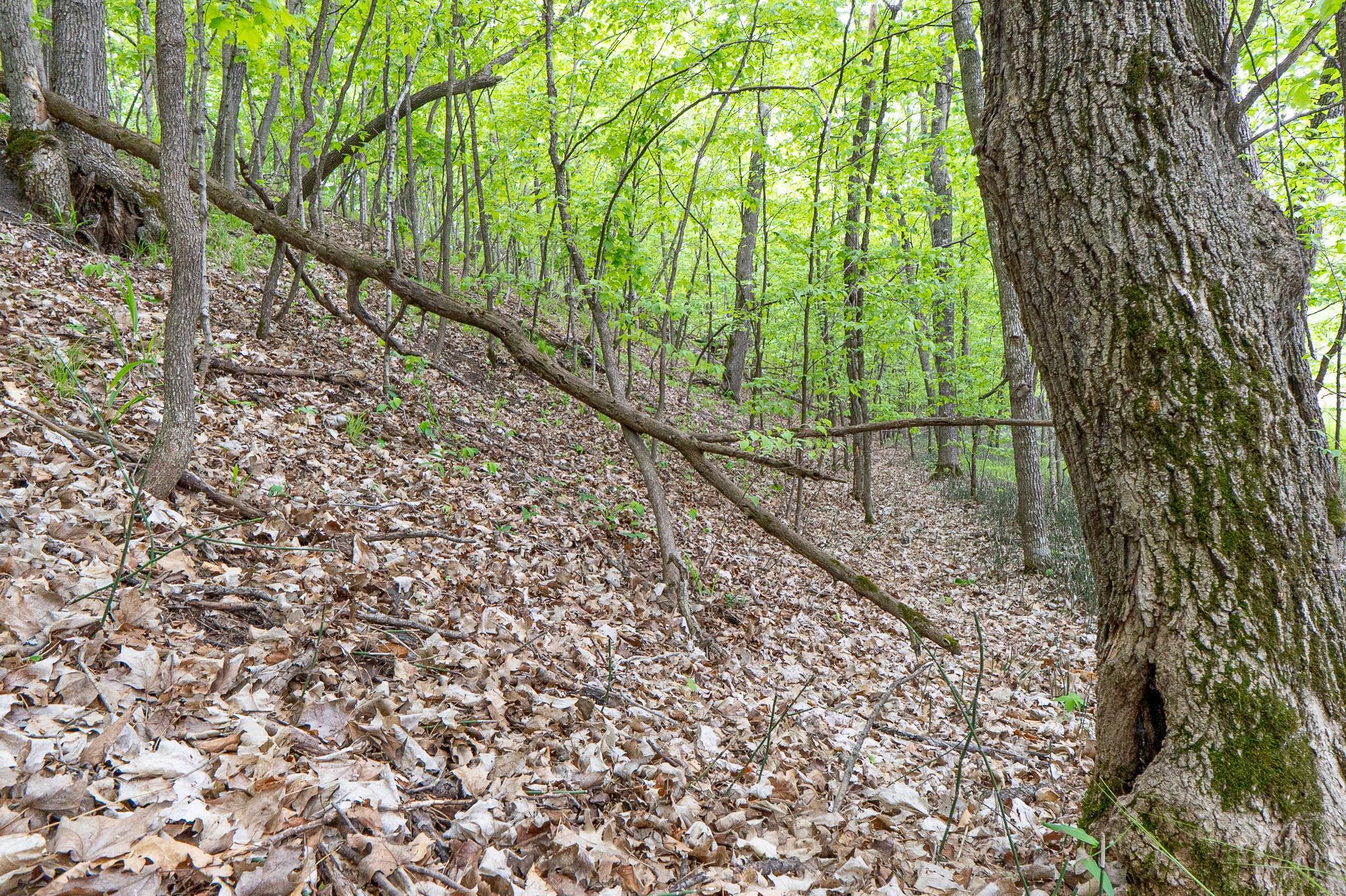 (LOT E) TBD NE Rock Lake Road, Rochert, Minnesota image 23