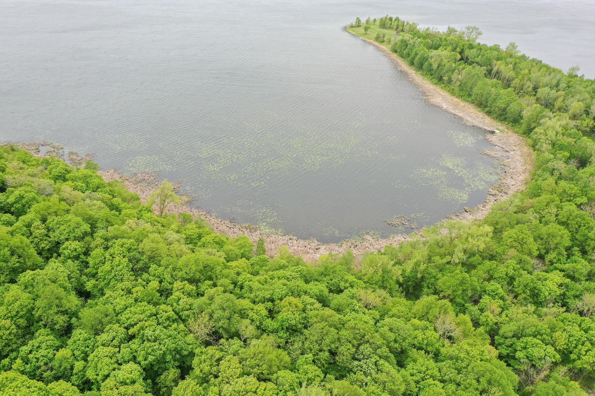 (LOT E) TBD NE Rock Lake Road, Rochert, Minnesota image 3