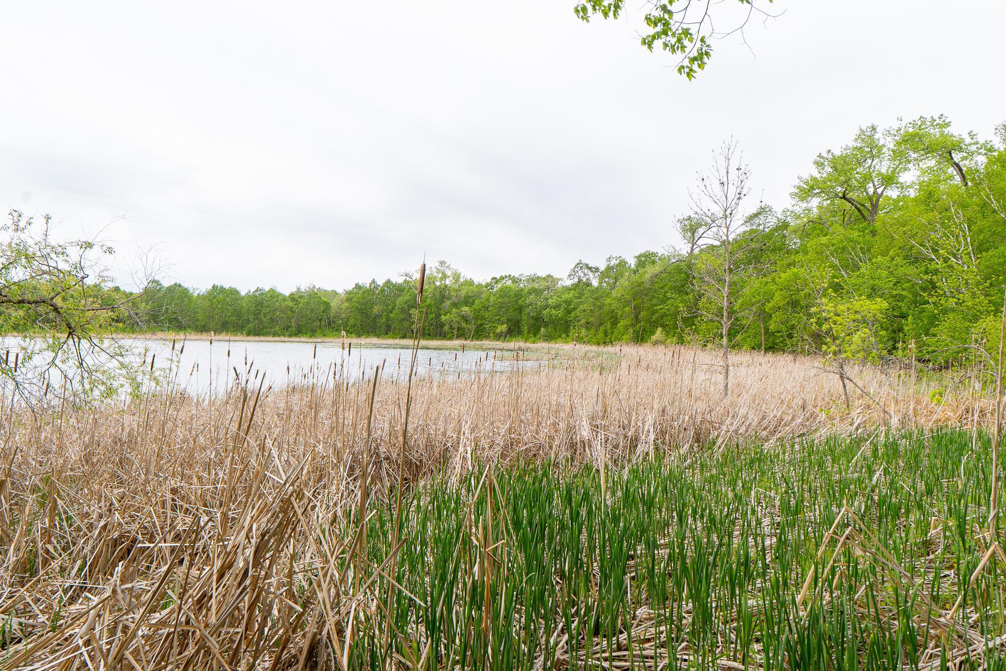 (LOT E) TBD NE Rock Lake Road, Rochert, Minnesota image 16