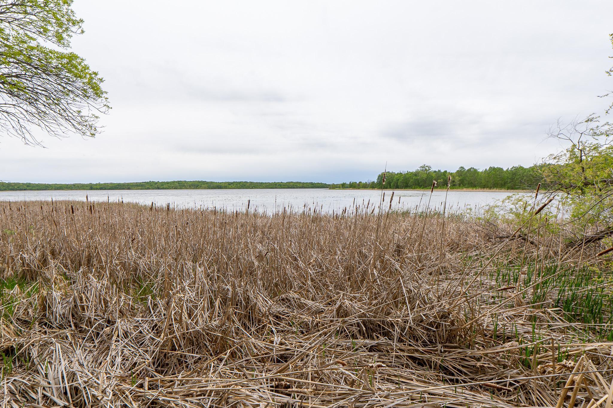 (LOT E) TBD NE Rock Lake Road, Rochert, Minnesota image 18