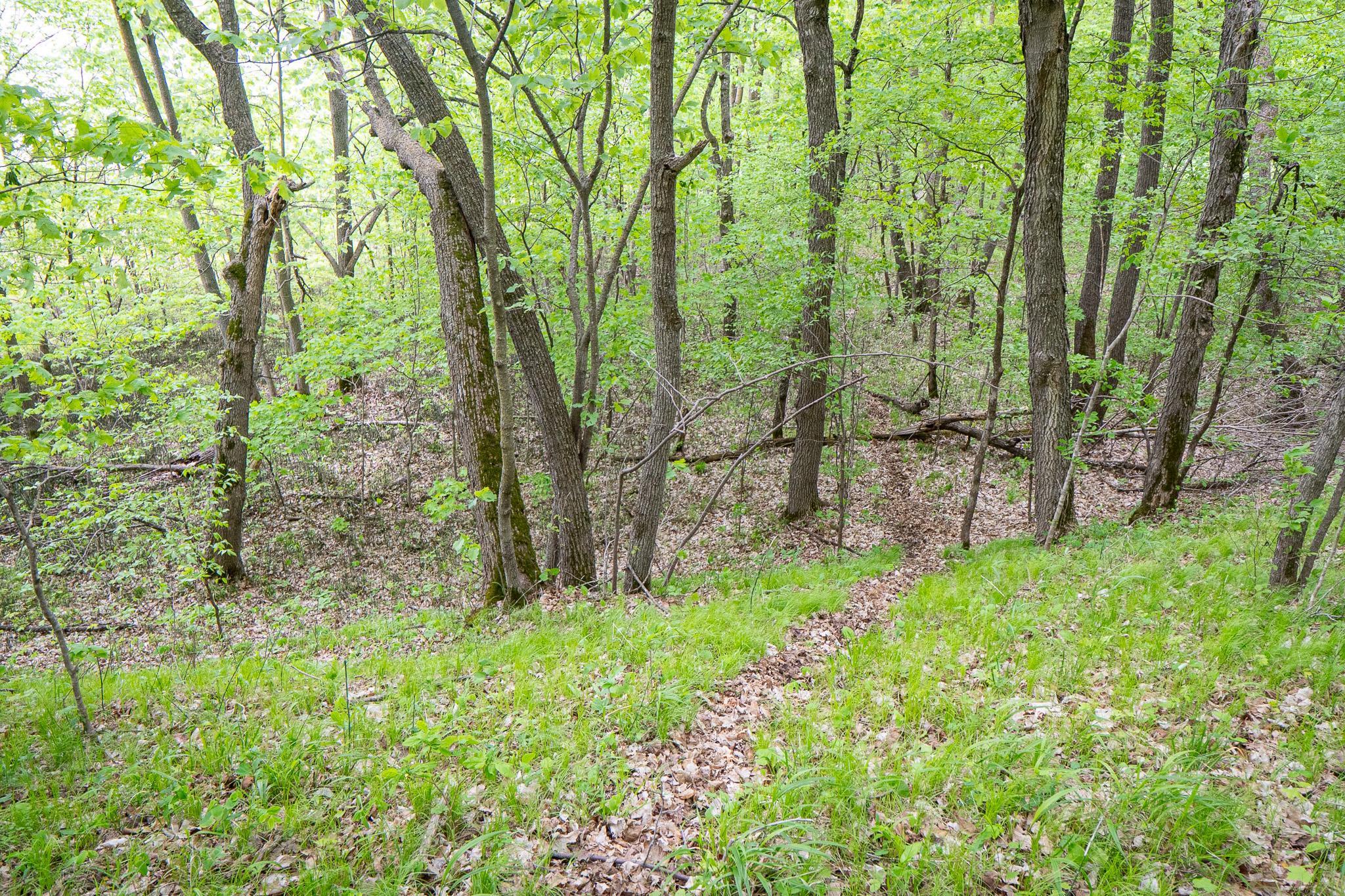 (LOT E) TBD NE Rock Lake Road, Rochert, Minnesota image 14