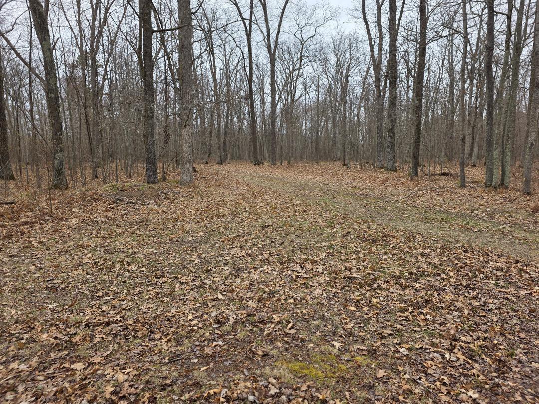 Lot 9 Lukes Lane, Danbury, Wisconsin image 14