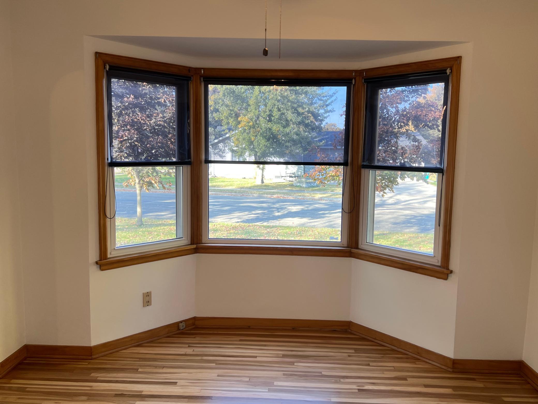 222 W Mckinley Street, Owatonna, Minnesota image 7